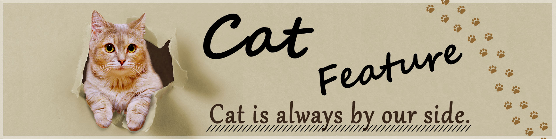 Cat Feature -Cat is always by our side.-